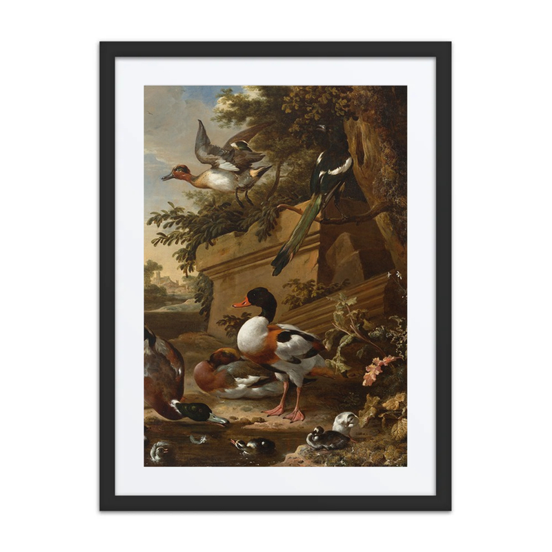 Sheldrake Ducks, Ducklings, and Magpie in a Garden