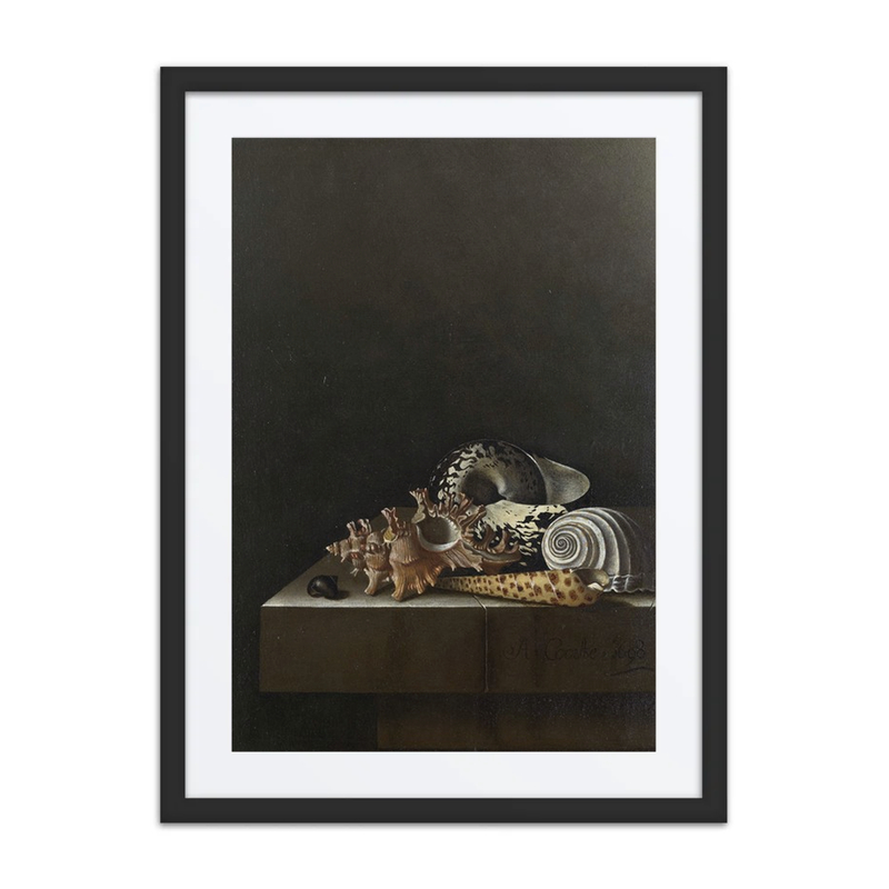 Shells on a Stone Plinth