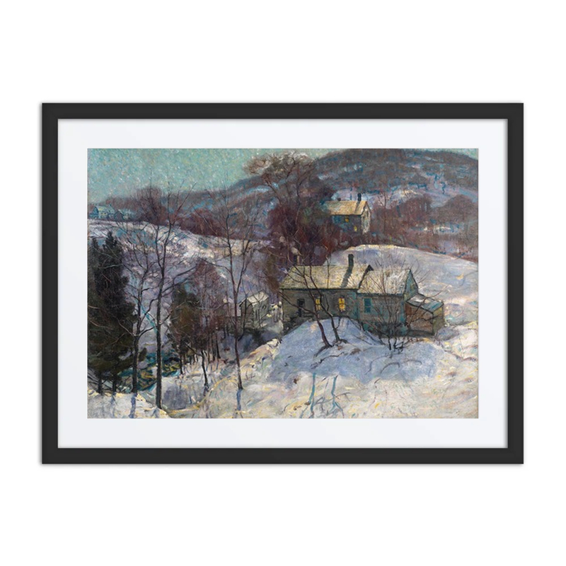 Shimmering Tree Shadows