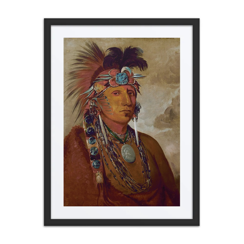 Shó-Me-Kós-See, the Wolf, a Chief