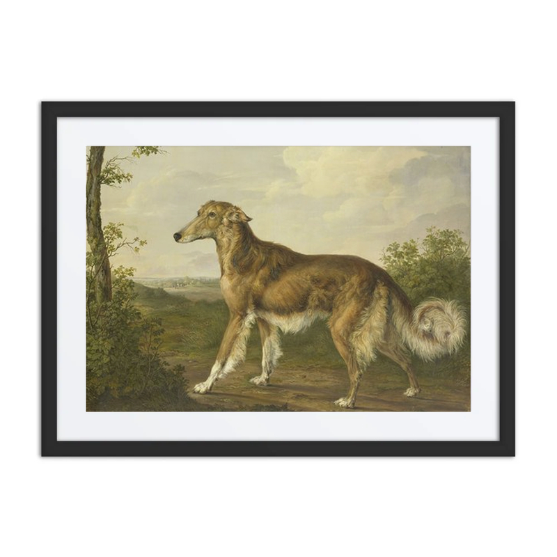 Siberian Greyhound