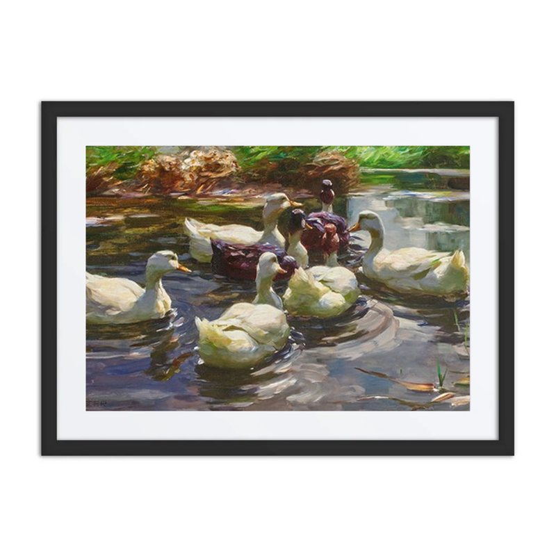 Sieben Enten in Einem Teich