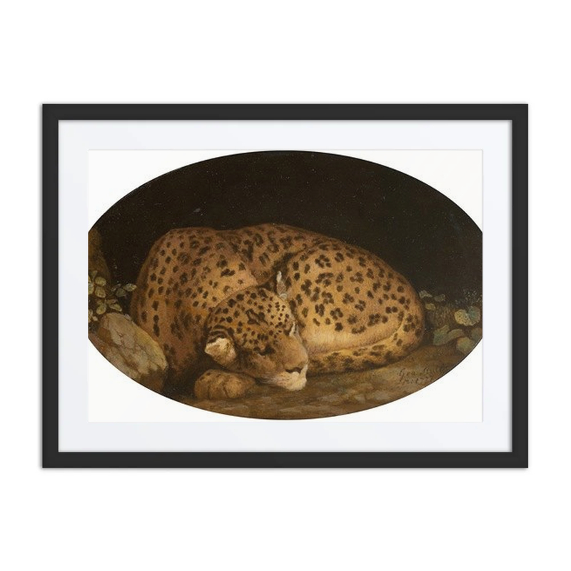 Sleeping Leopard