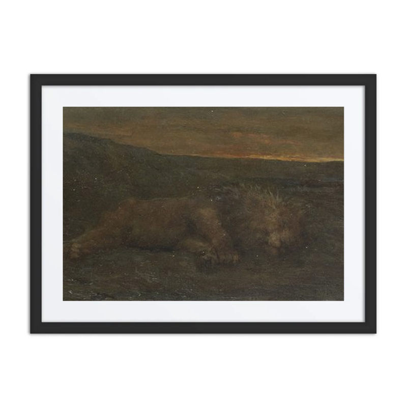 Sleeping Lion by Night