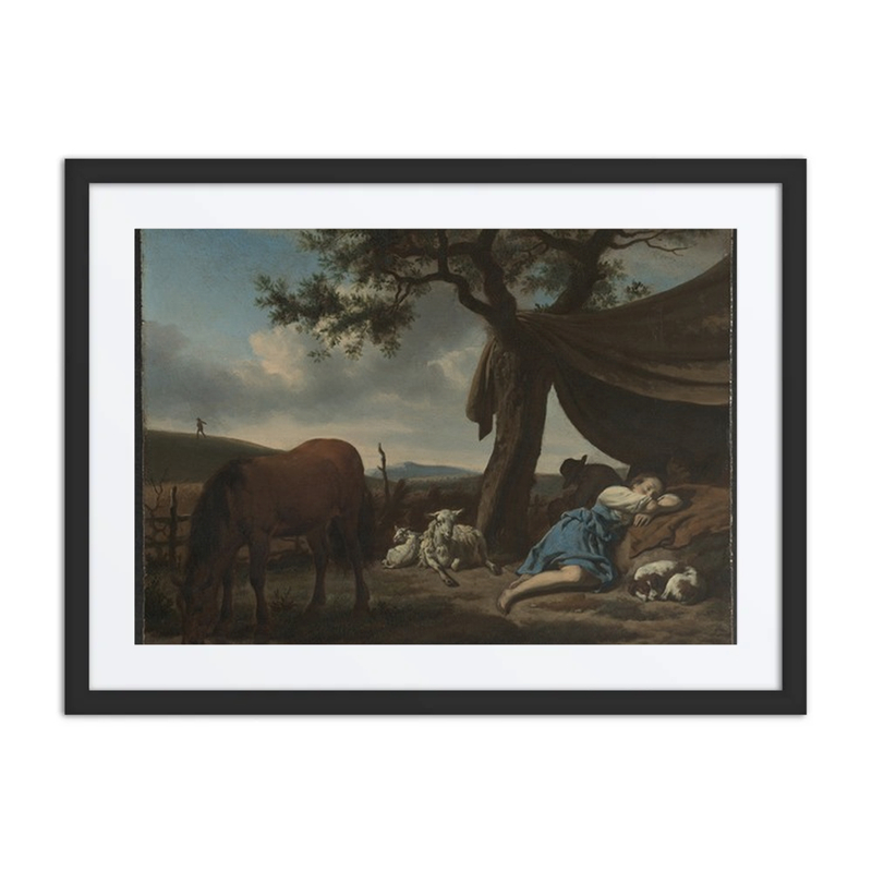 Sleeping Shepherds