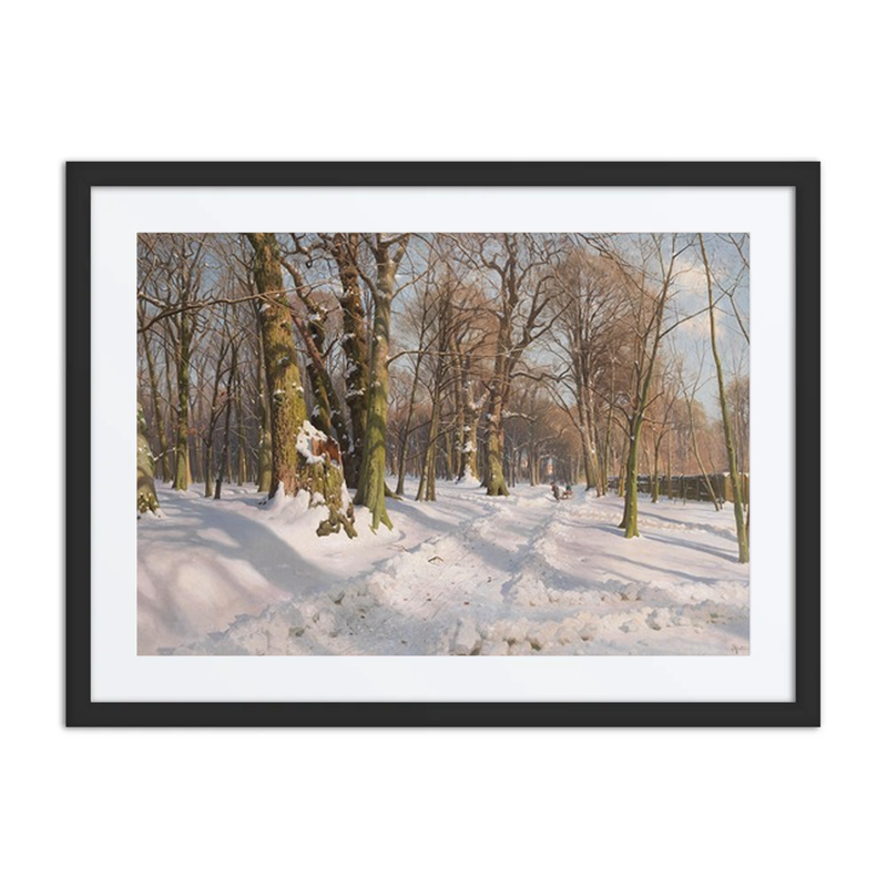 Snowy Forest Path in Sunlight