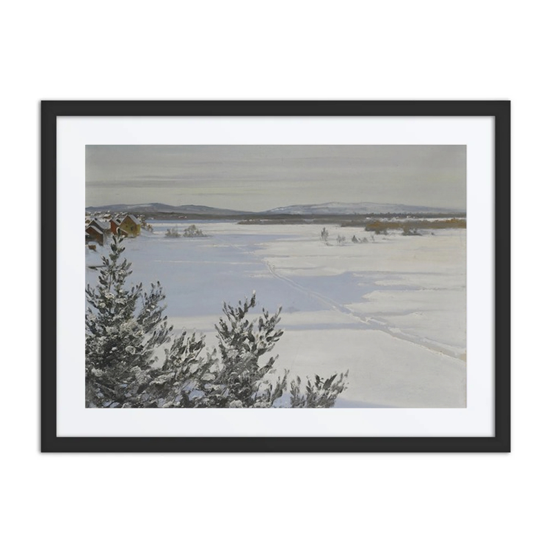 Snowy Landscape