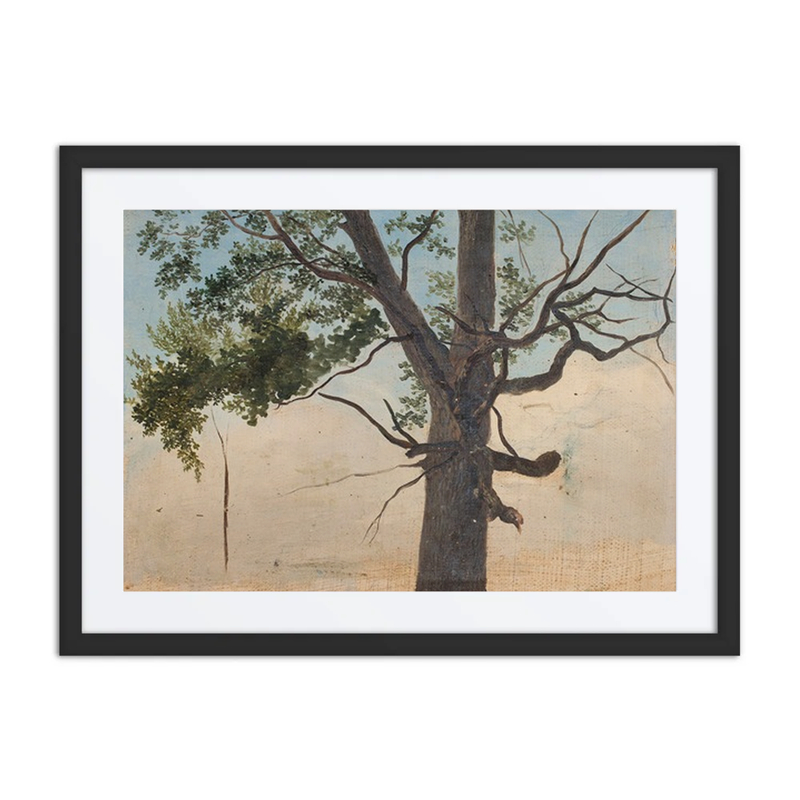 Solitary Tree