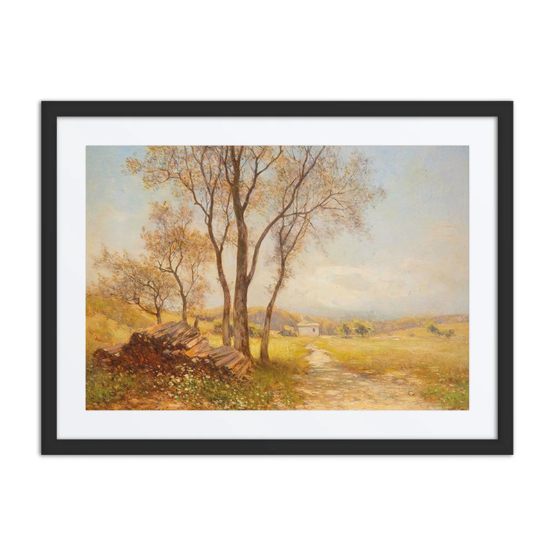 Sommerlandschaft