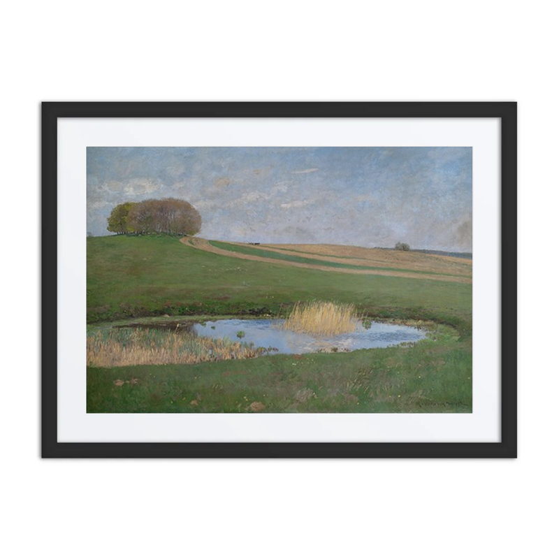 Sommerlandschaft Mit Einem Tümpel