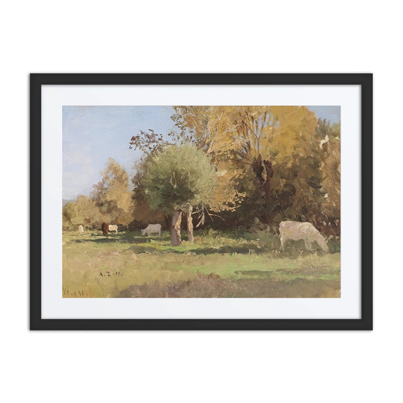 Sommerlandschaft Mit Kühen