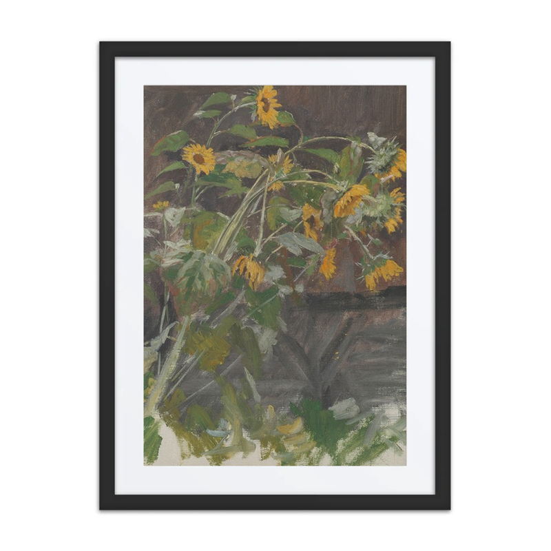 Sonnenblumen