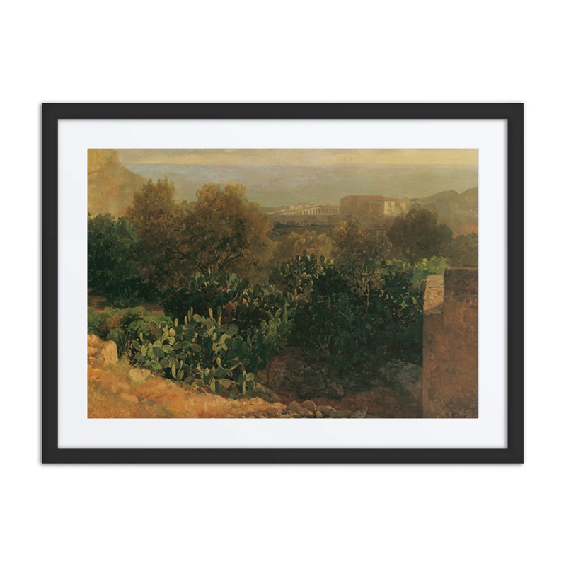 Southern Landscape with Cacti