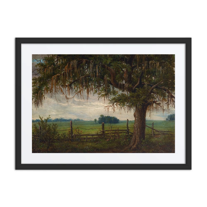 Southern Landscape with Oak Tree
