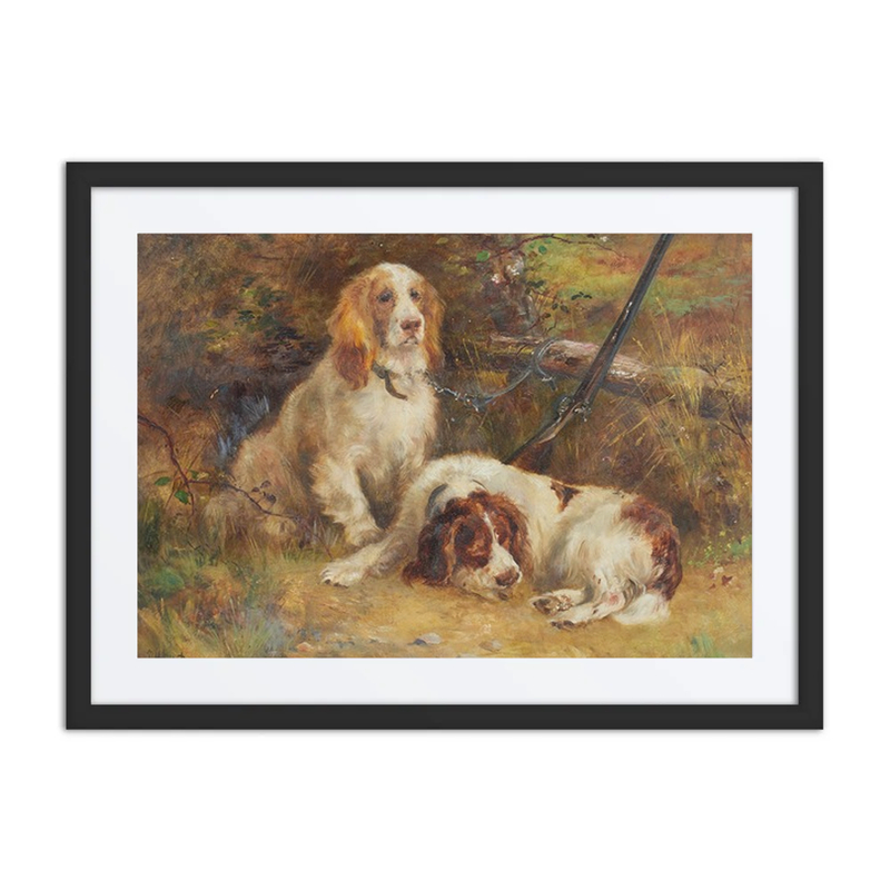 Spaniels Resting After a Shoot