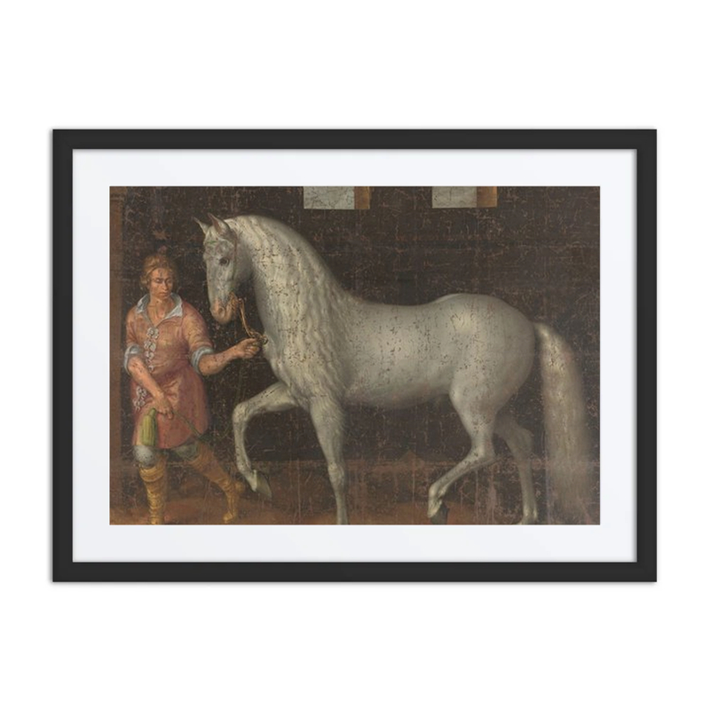 Spanish Warhorse