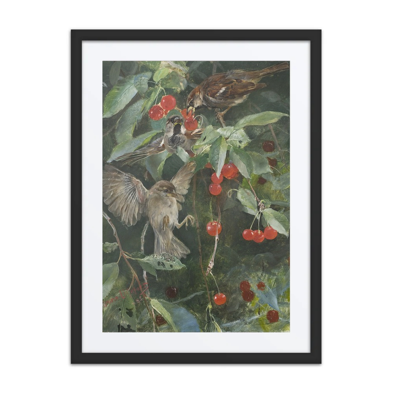 Sparrows in a Cherry Tree