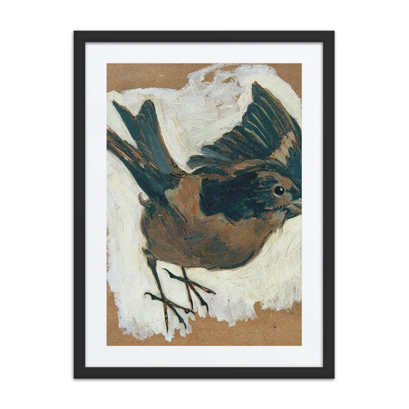 Sperling (Sparrow)