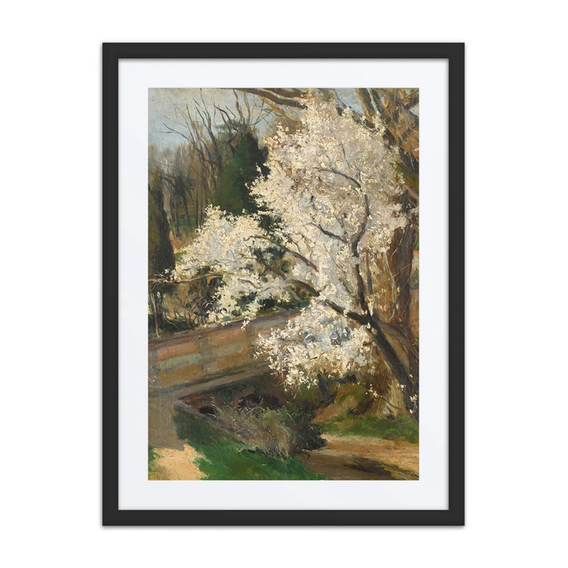 Spring Blossom