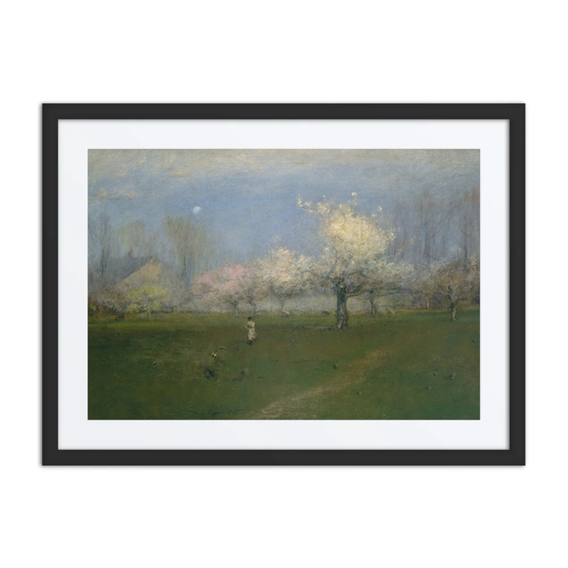 Spring Blossoms, Montclair, New Jersey