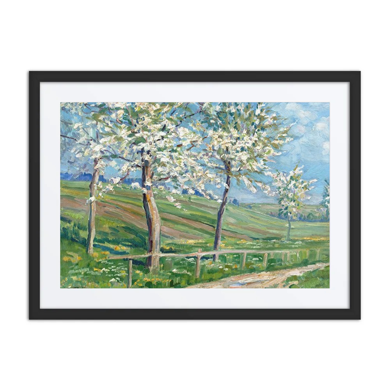 Spring Landscape