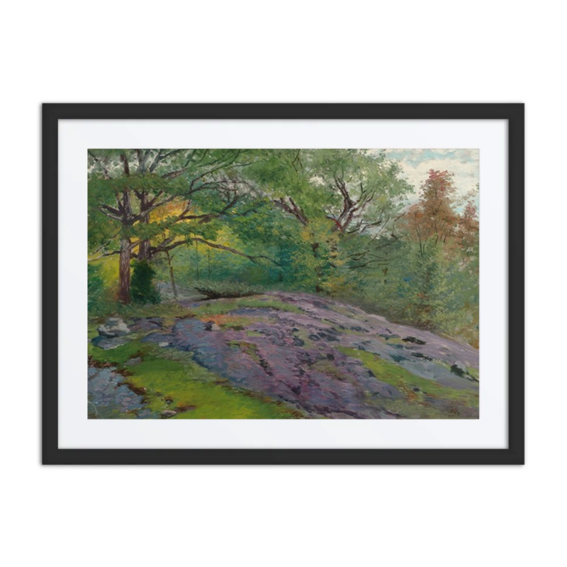Spring Landscape