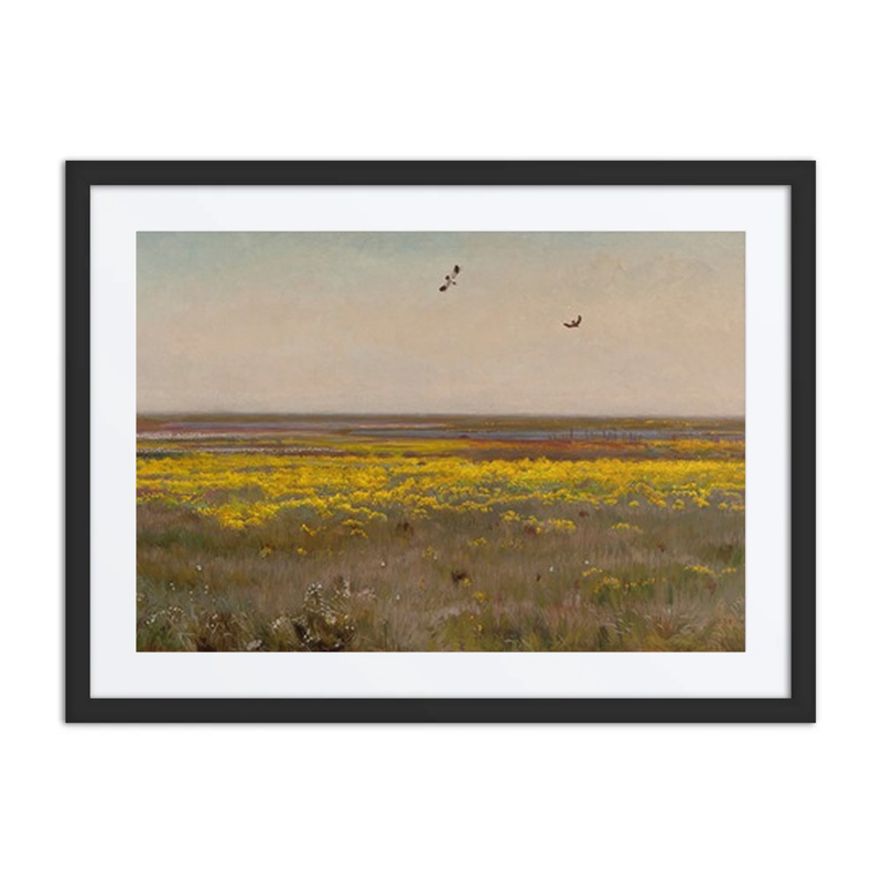 Spring Meadow