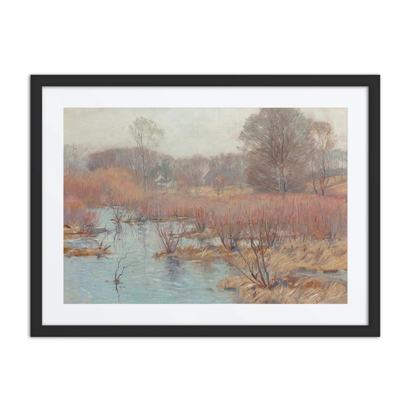 Spring Wetlands