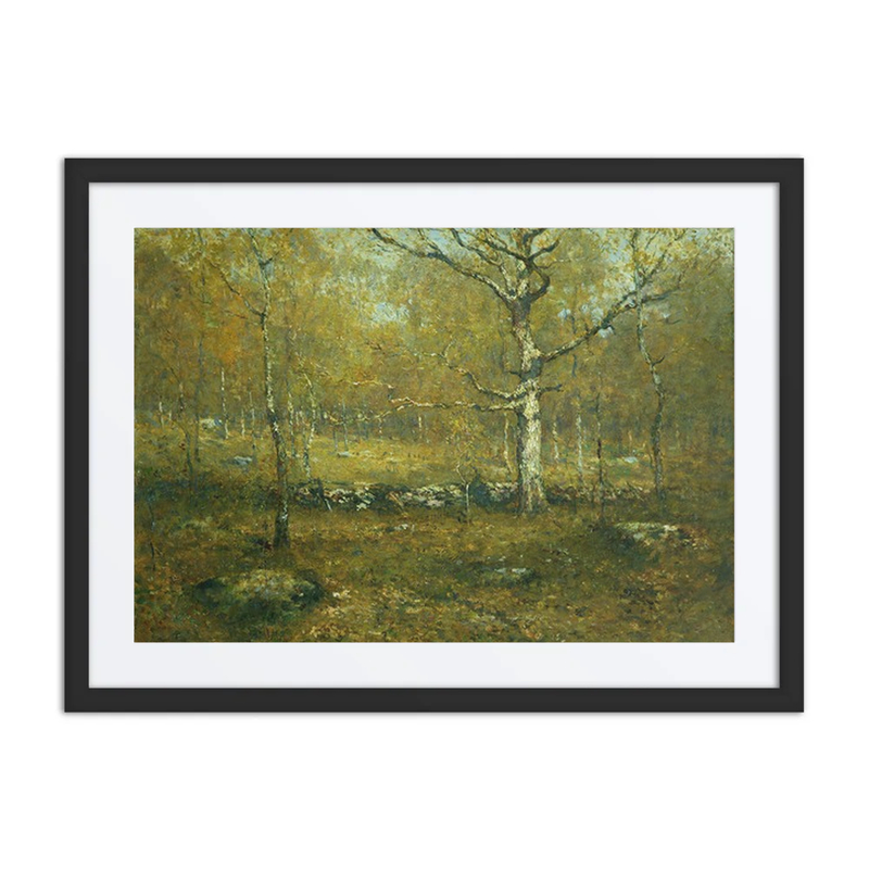 Spring Woods