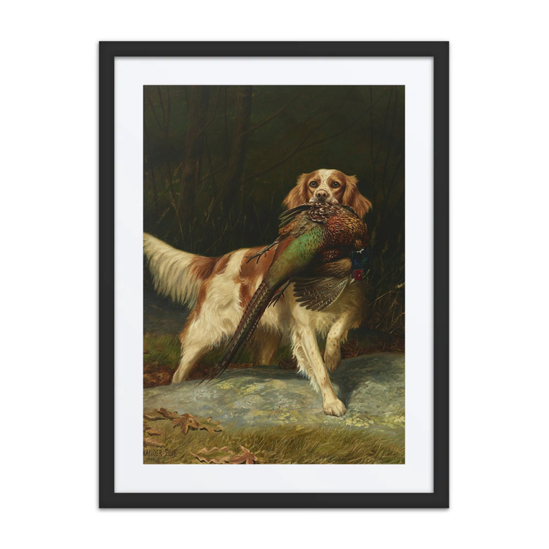 Springer Spaniel with Pheasant