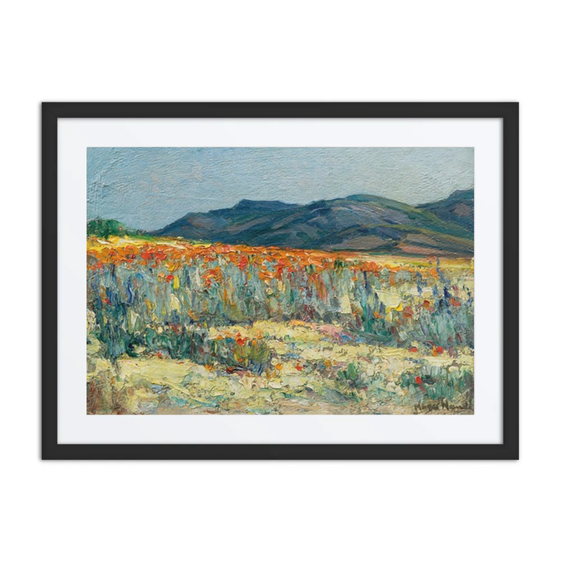 Springtime, Namaqualand