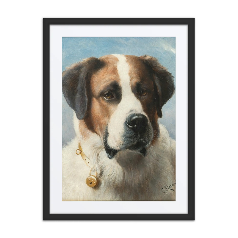 St. Bernard
