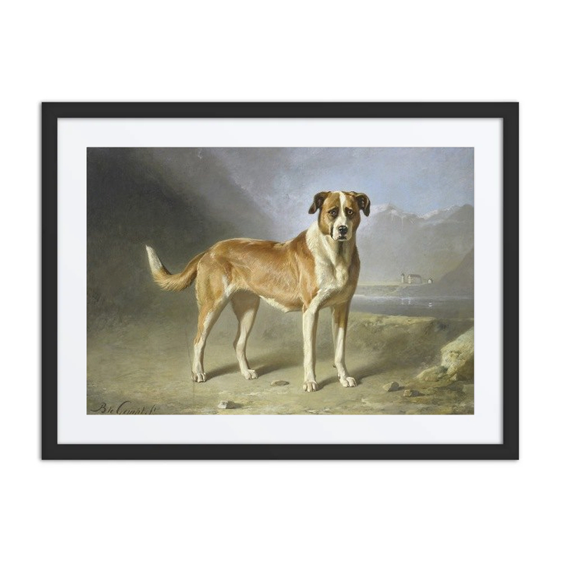 St Bernard Dog