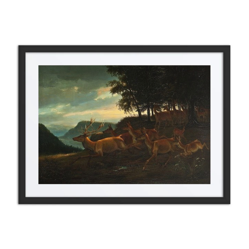 Stag and Deer in a Wood