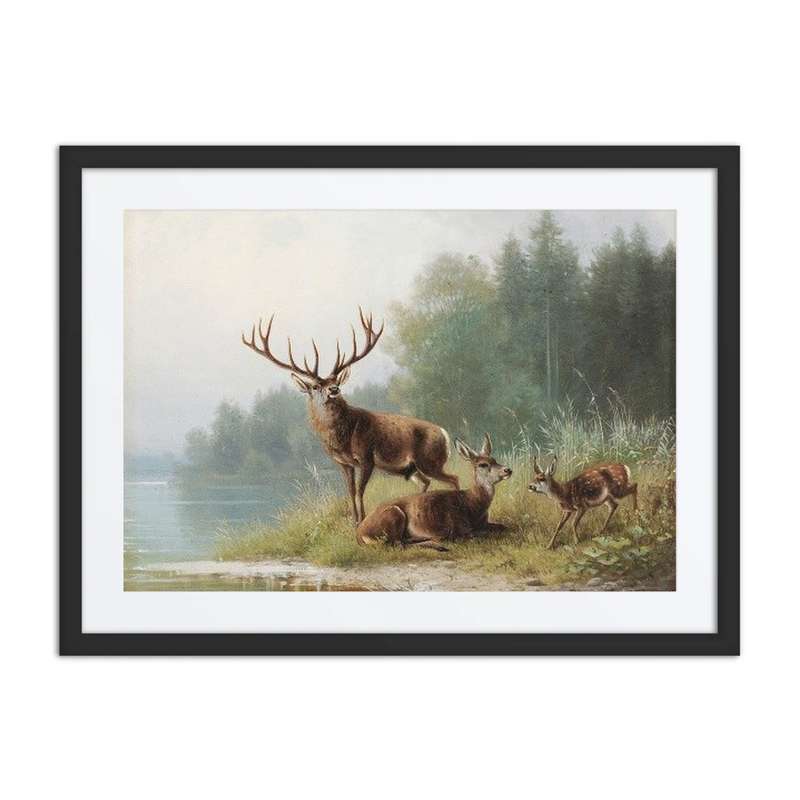 Stag at the Lake
