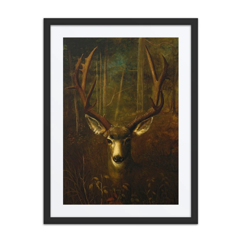 Stag Resting, Colorado Springs