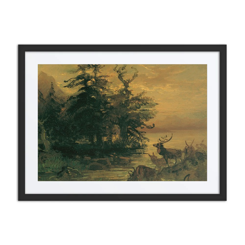 Stags by a Mountain Lake