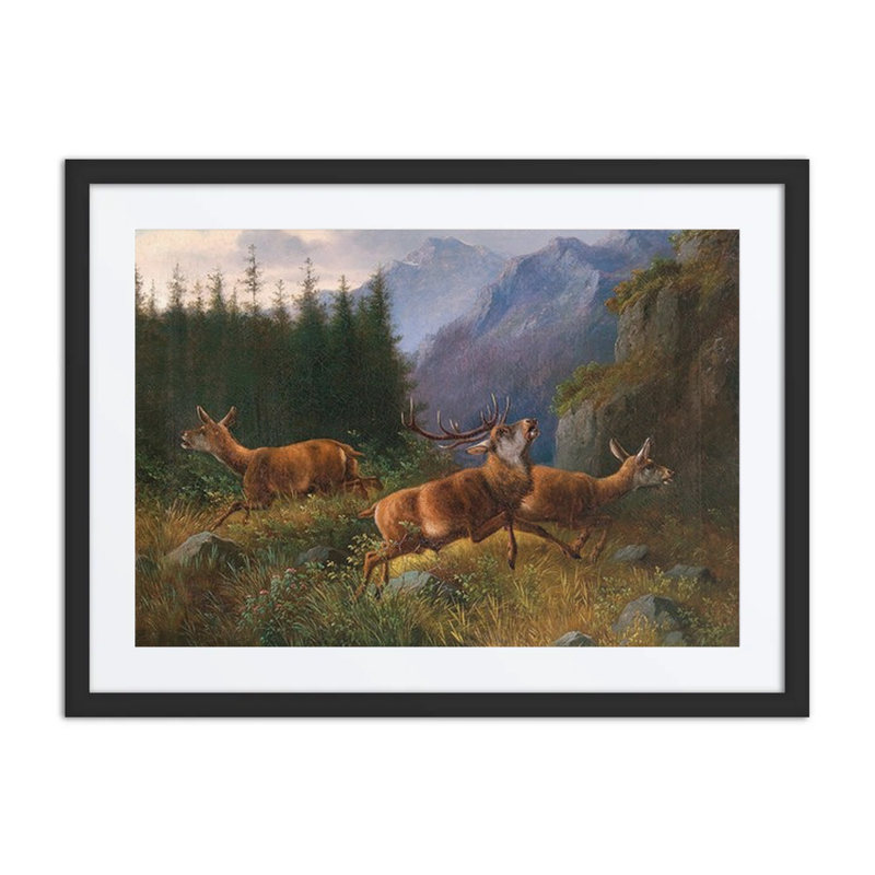 Stags in the Mountains