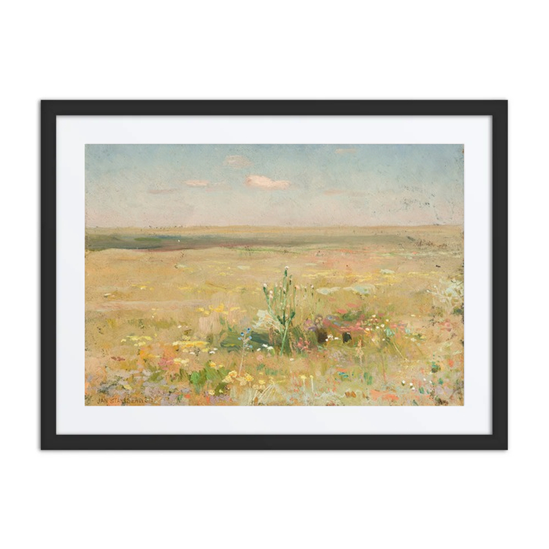 Steppe