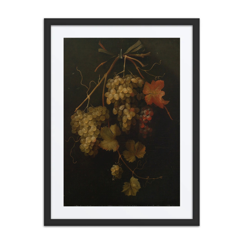 Still Life of Grapes