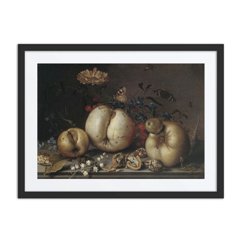 Still Life with Fruit and Shells
