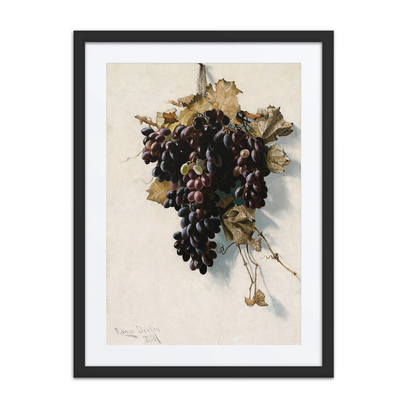 Still Life with Grapes