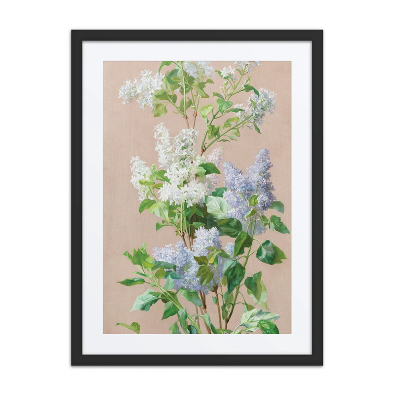 Still Life with Lilacs