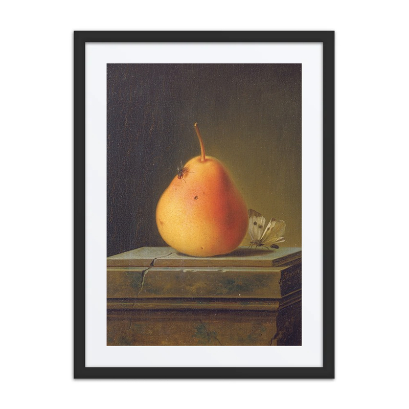 Still Life with Pear and Insects