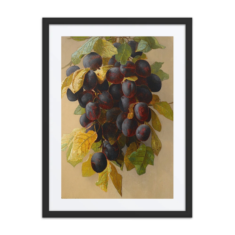 Still Life with Plums