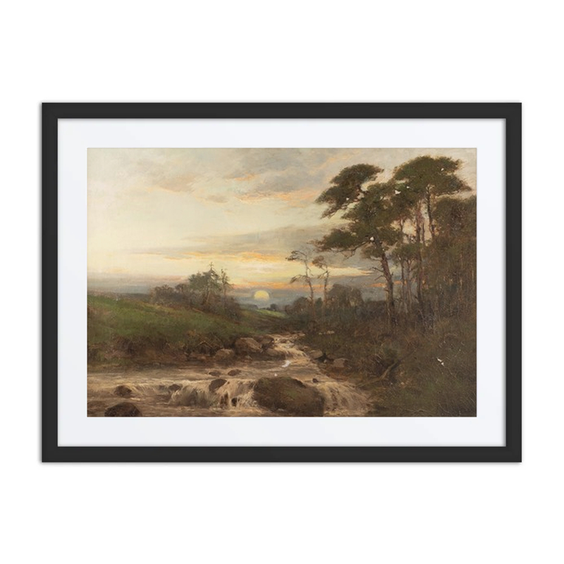 Stream by the Pine Forest at Sunset