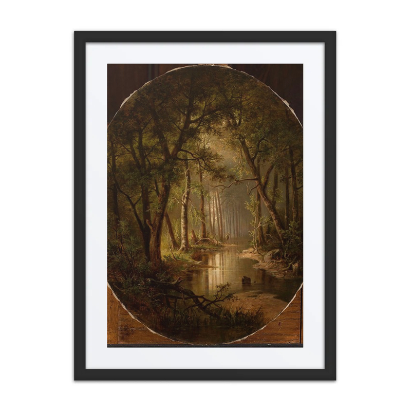 Stream in the Forest