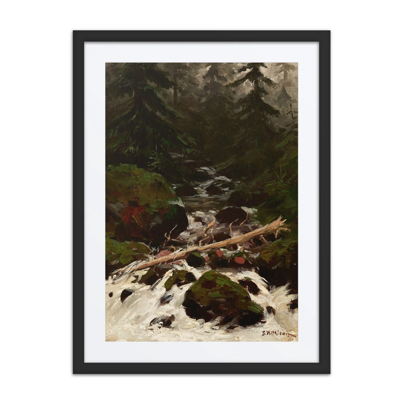 Stream in the Forest