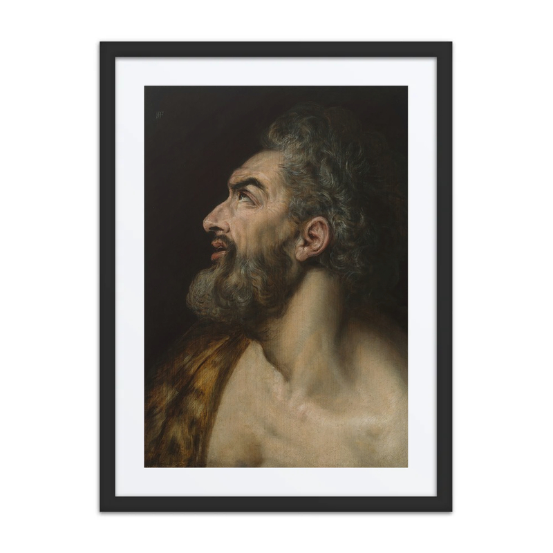 Study Head of a Bearded Man