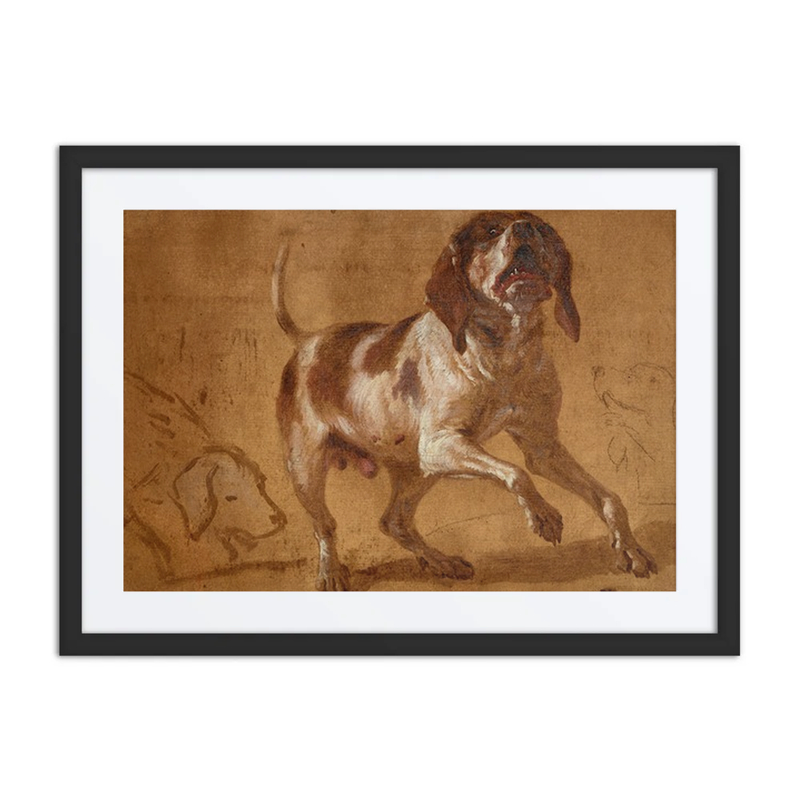 Study of a Baying Hound